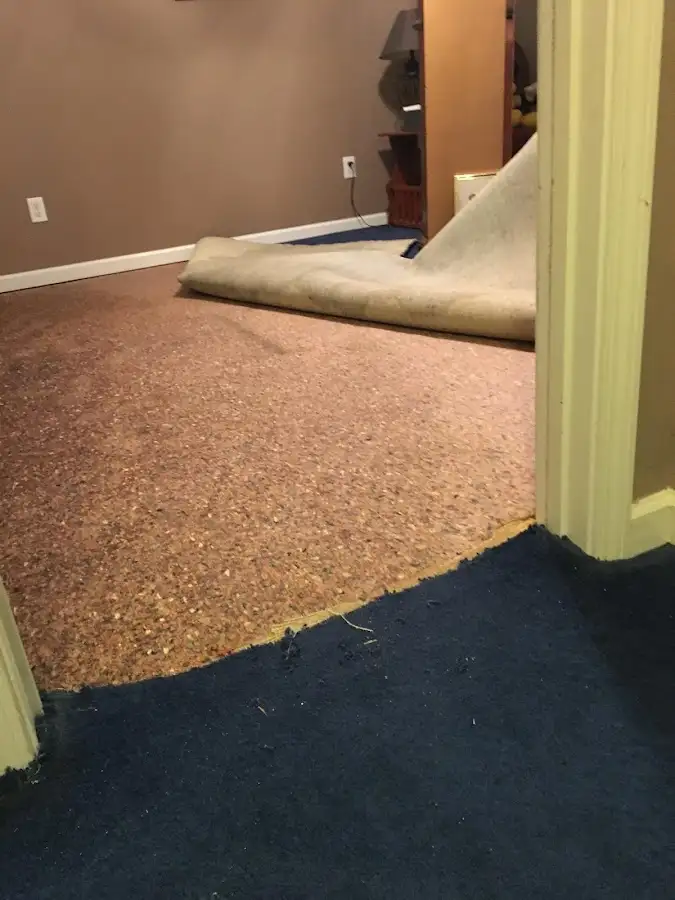 Carpet pad removal revealing water damage during Water Mitigation Services in Temple