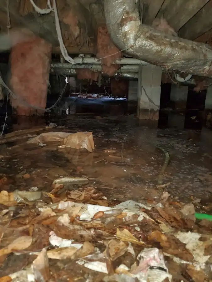 Crawl space flood assessment for Leak Detection & Repair in Temple