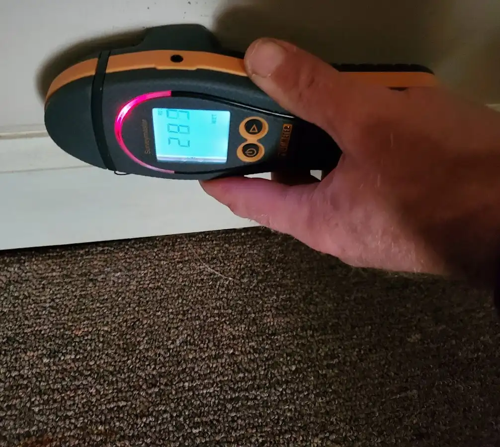 Moisture detection at baseboard during Sewage Cleanup & Sanitation in Temple